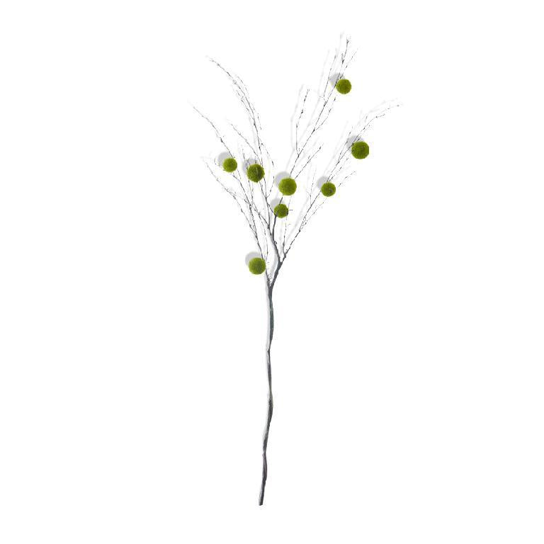 MOSS BALL BRANCH