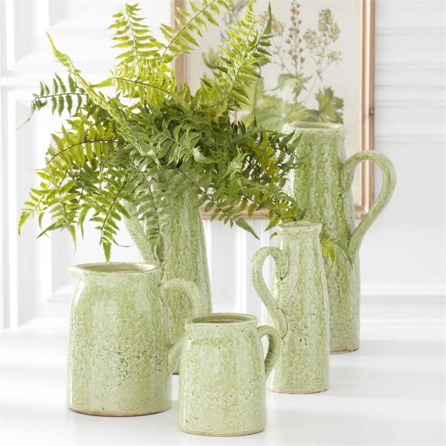FERN BUSH