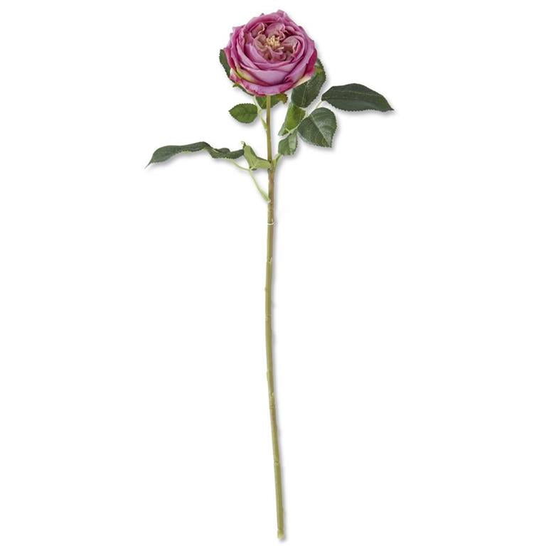 Dark Purple Real Touch Austin Rose