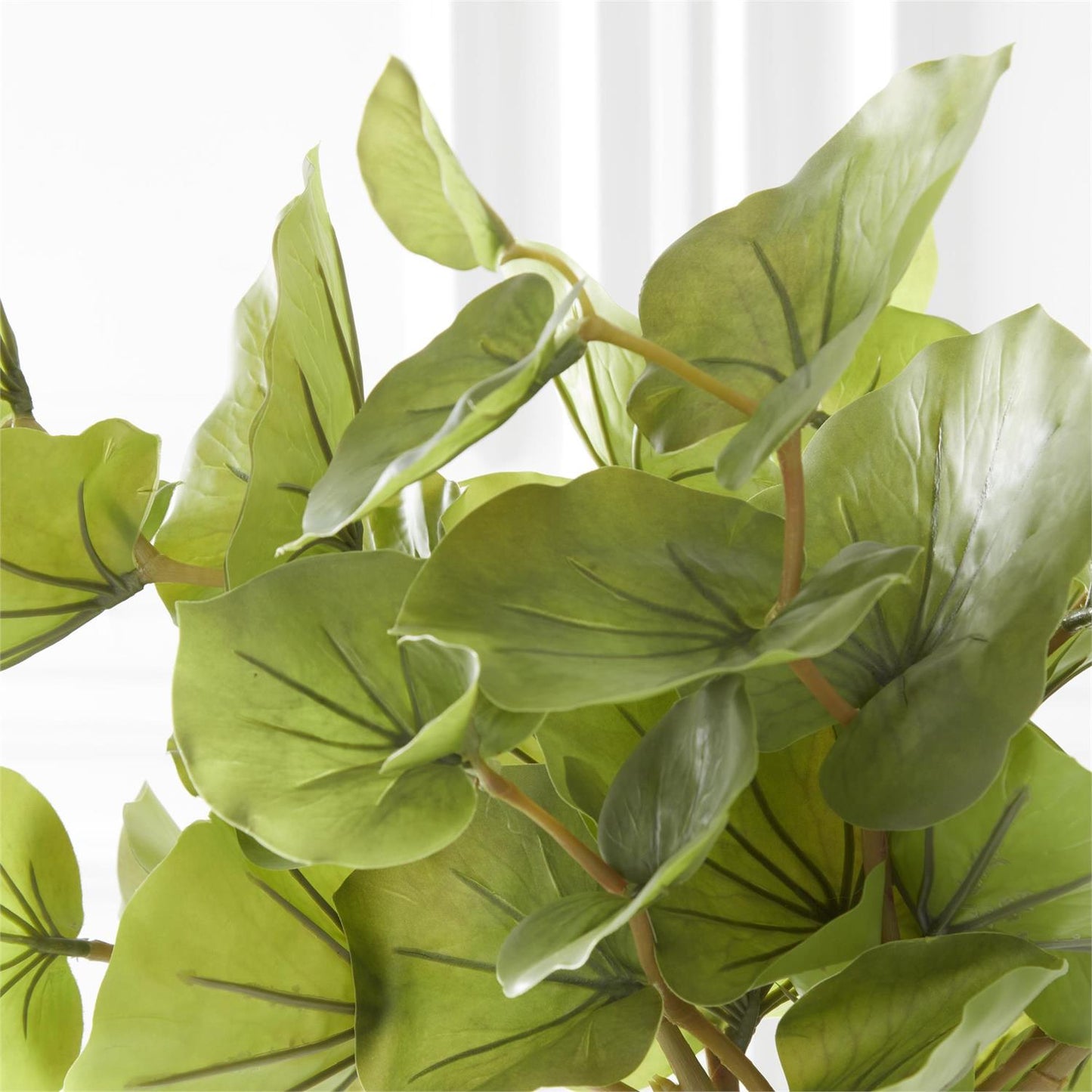 Green Leaf Spray