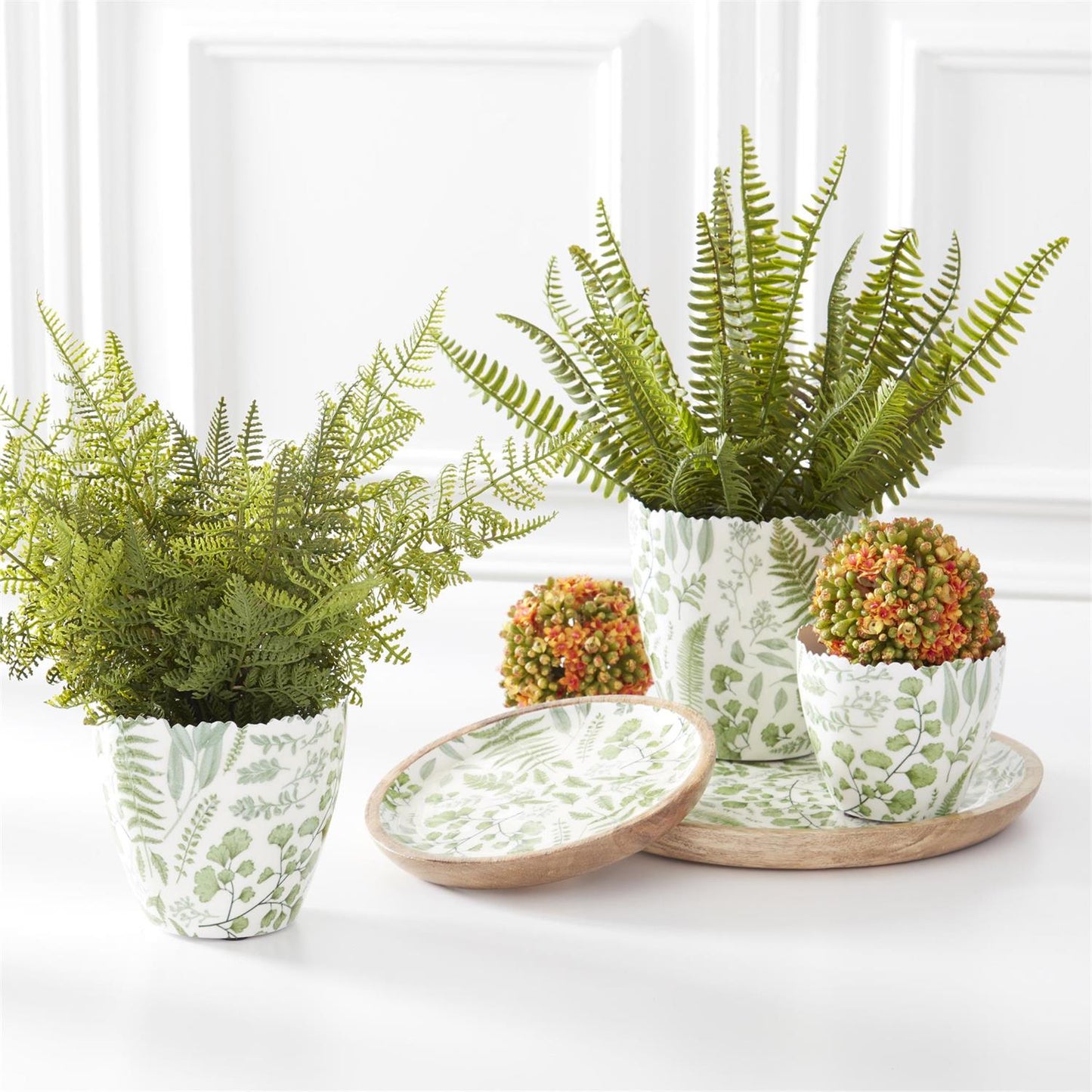 Fern