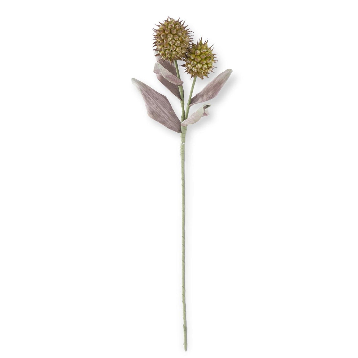Green & Burgundy Eva Double Spike Pod Stem