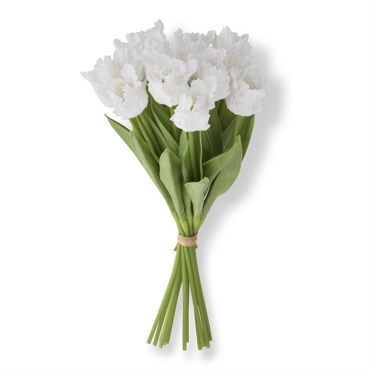 White Real Touch Parrot Tulip