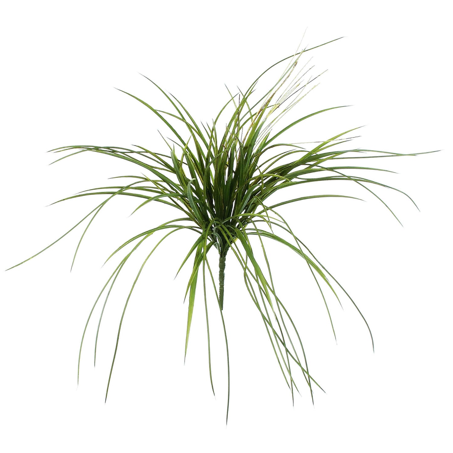 MIXED MOUNTAIN GRASS SPRAY