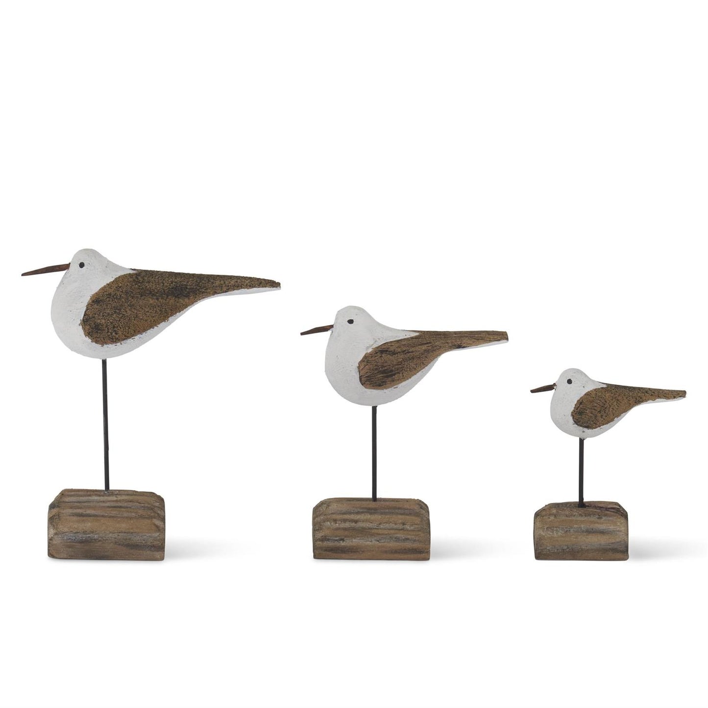 Seagulls on Driftwood