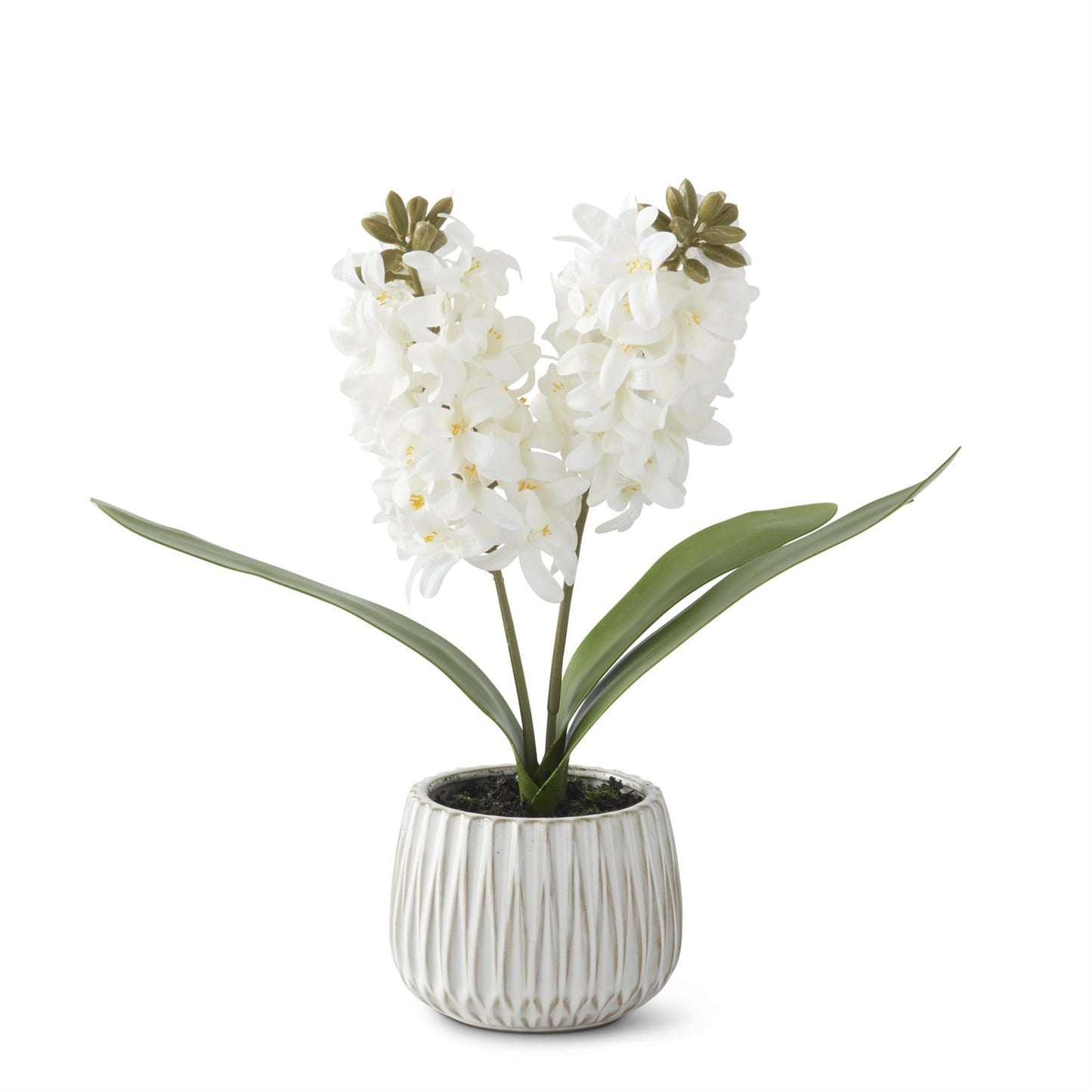 White Real Touch Hyacinth in White Ceramic Pot