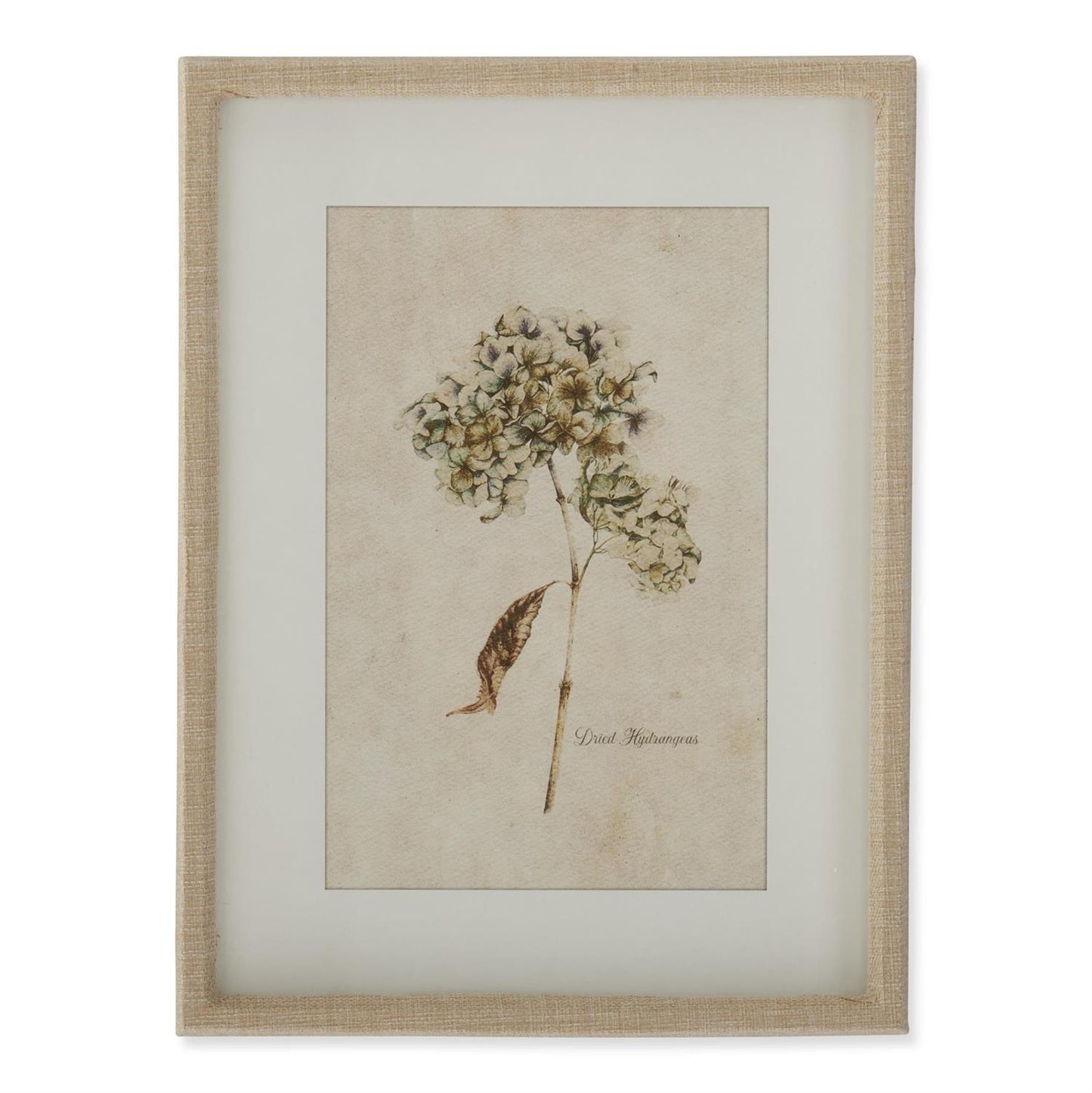 Burlap Wrapped Wood Framed Dried Hydrangea Prints