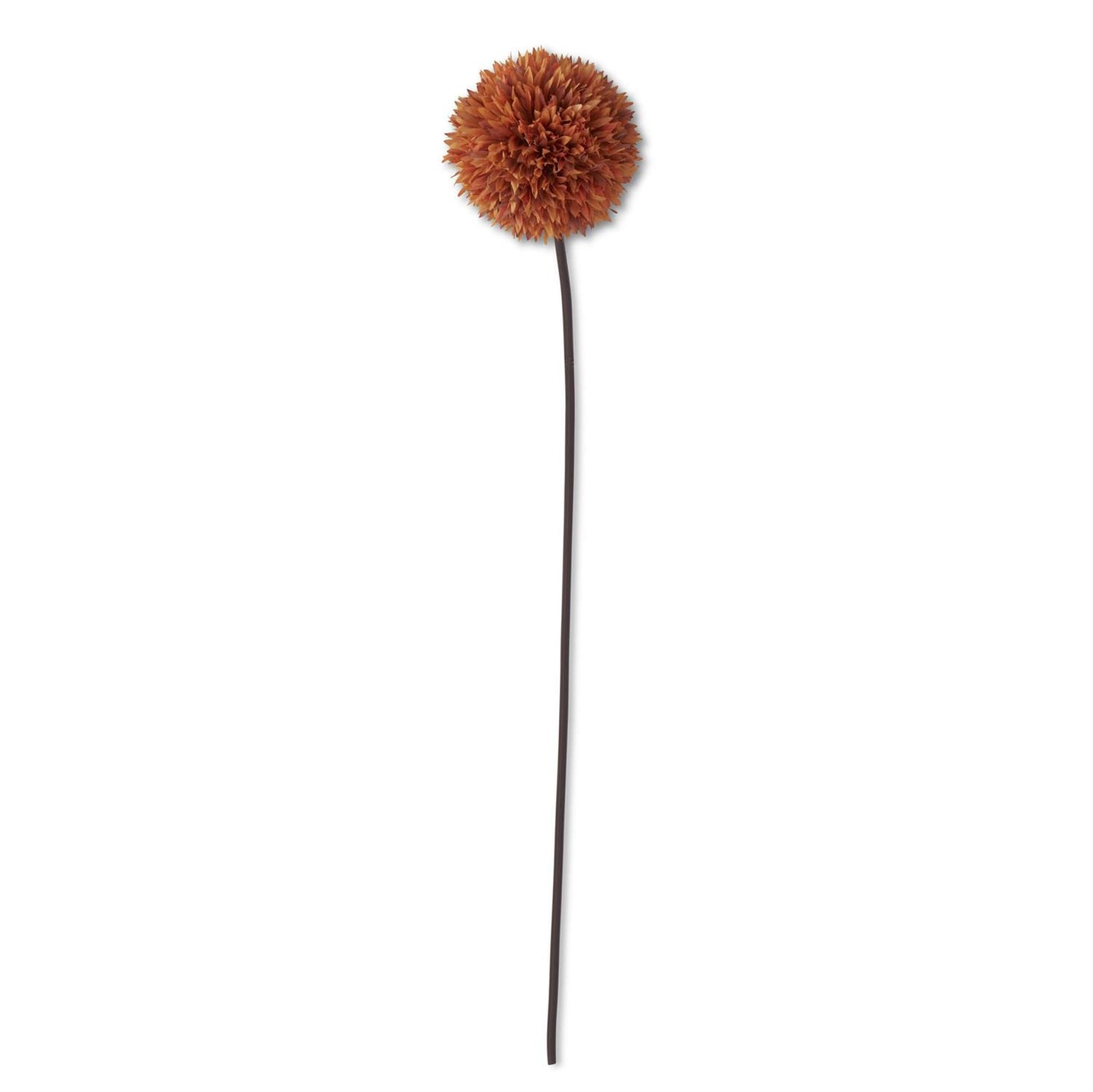 31 Inch Orange Allium Stem