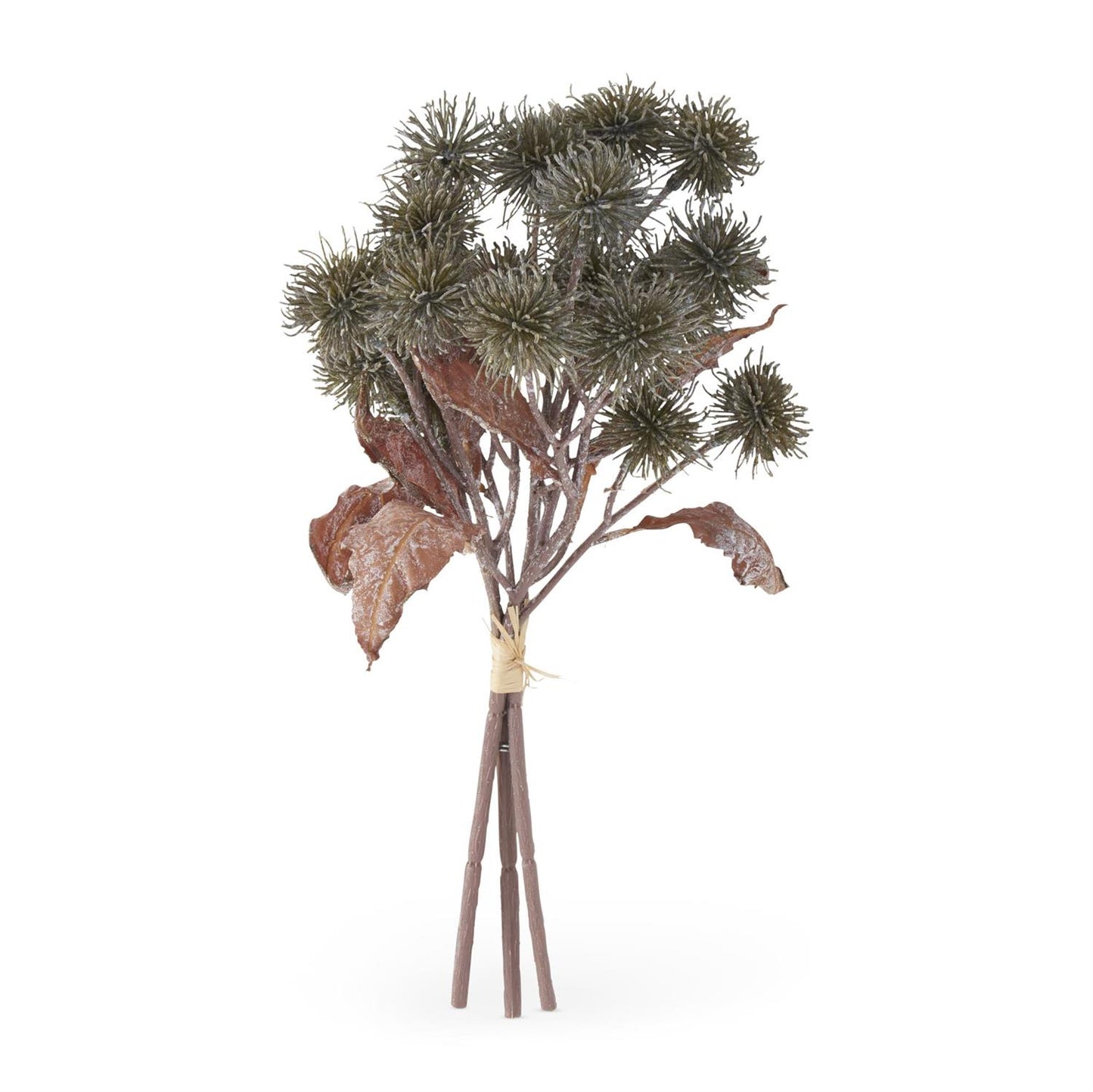 Green Sycamore Fruit Bundle
