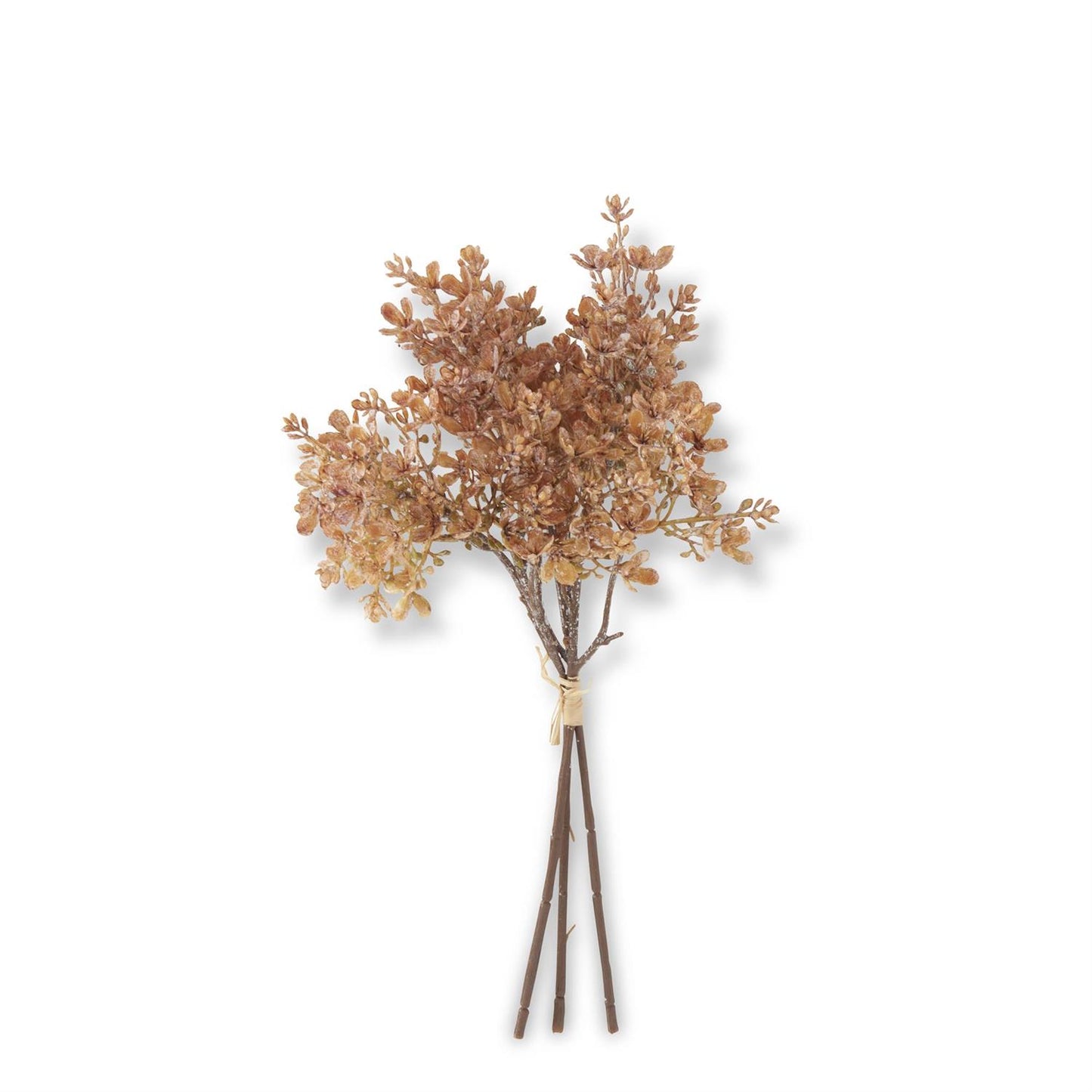 Dried Wildflower Bundle - Yellow