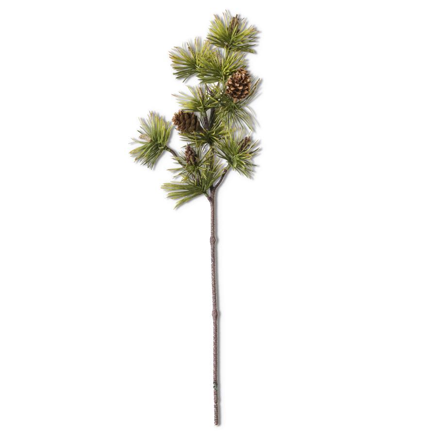 Long Needle Pine Stem w/Pinecones