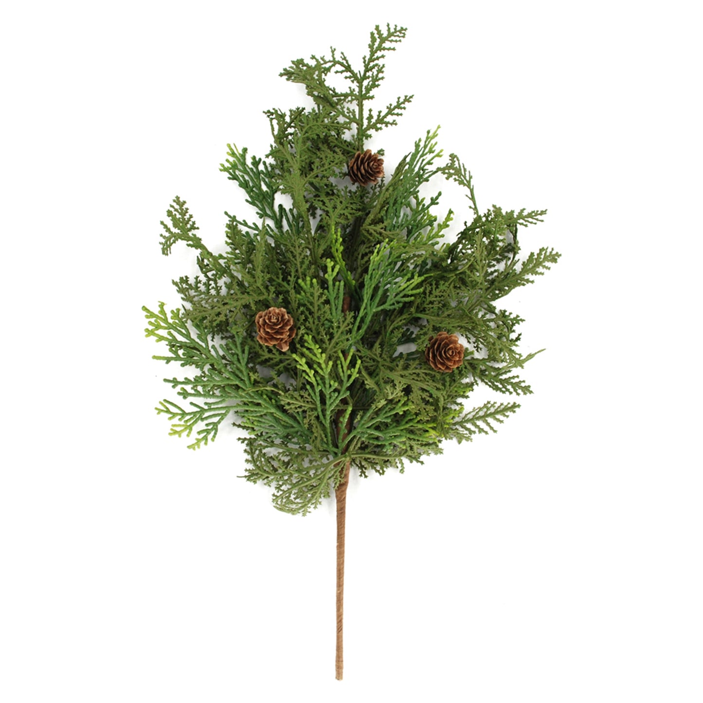 Cedar and Pinecone Bush
