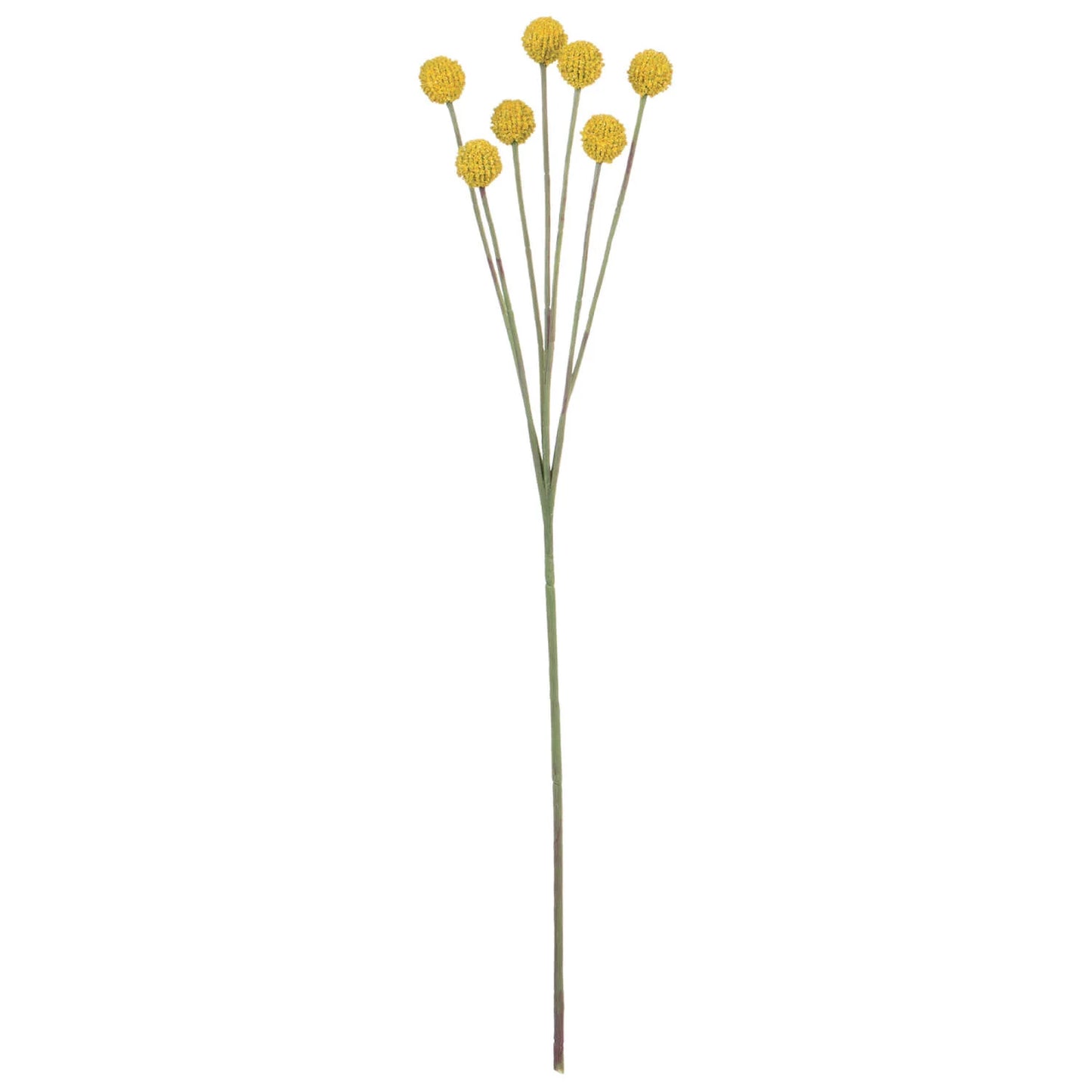 BILLY BUTTON STEM - yellow