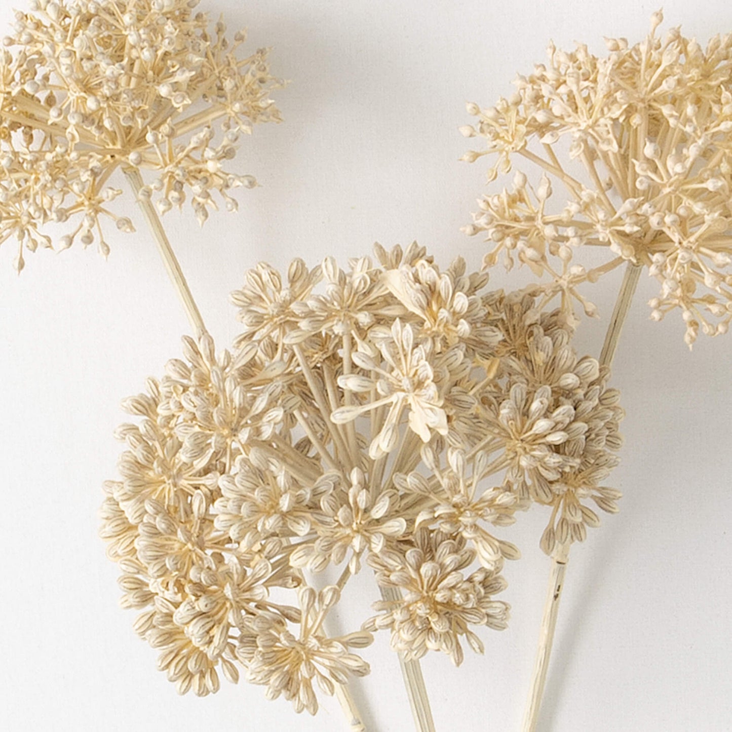 FAUX DRIED CREAM SEEDPOD SPRAY