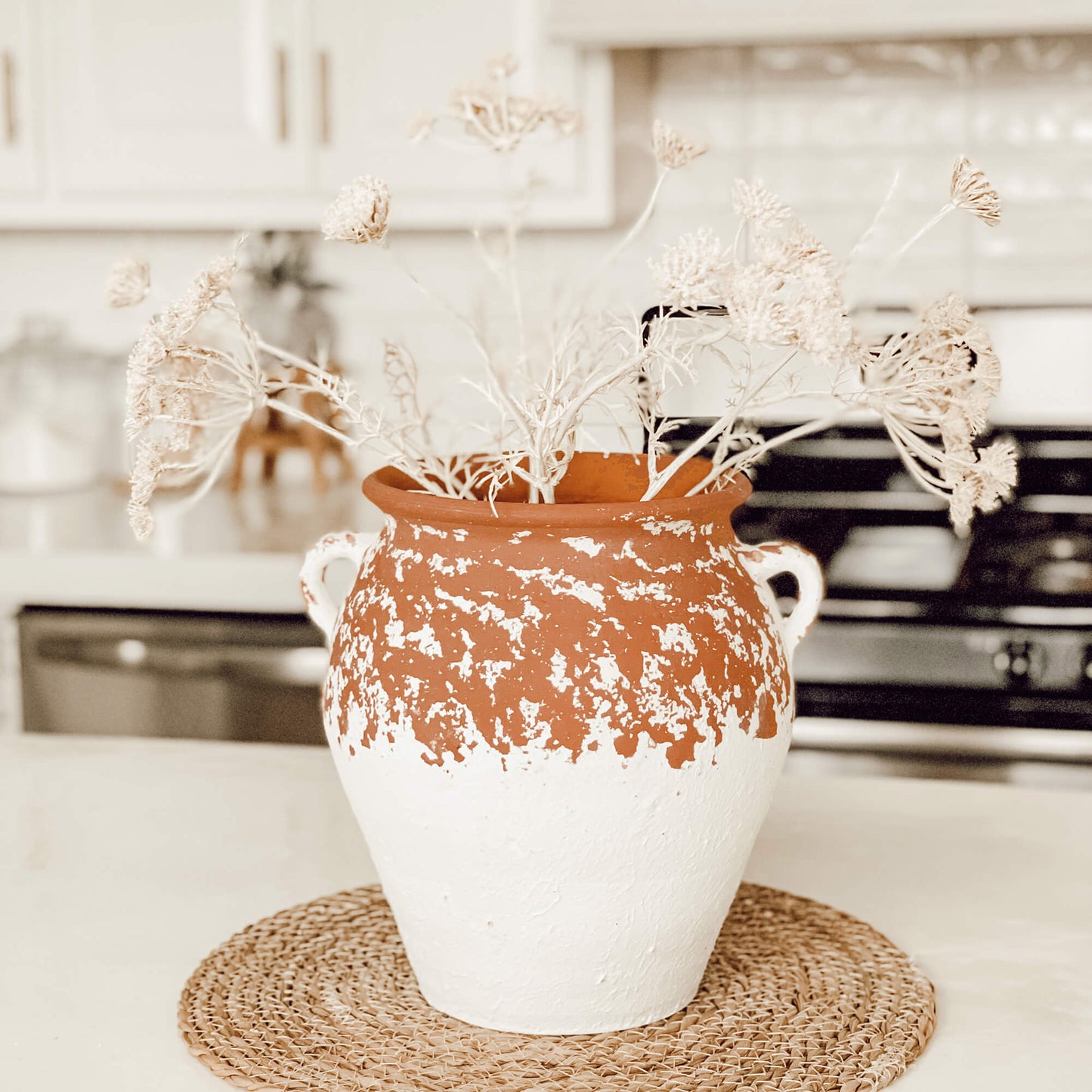 CREAM QUEEN ANNE'S LACE SPRAY