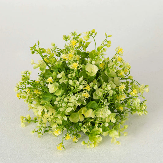 VARIEGATED EUCA HALF-ORB
