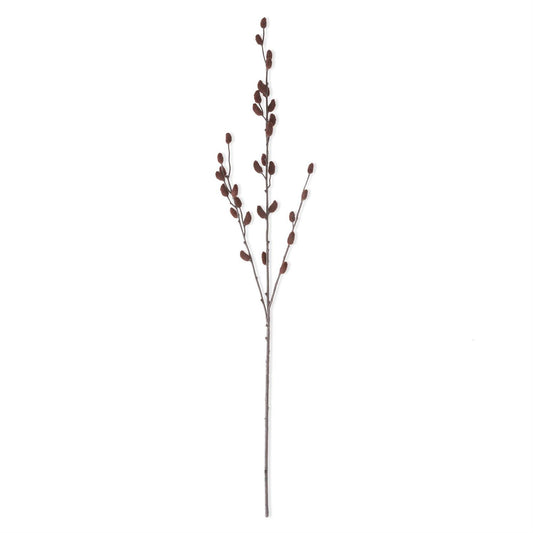 Brown Pussy Willow Stem