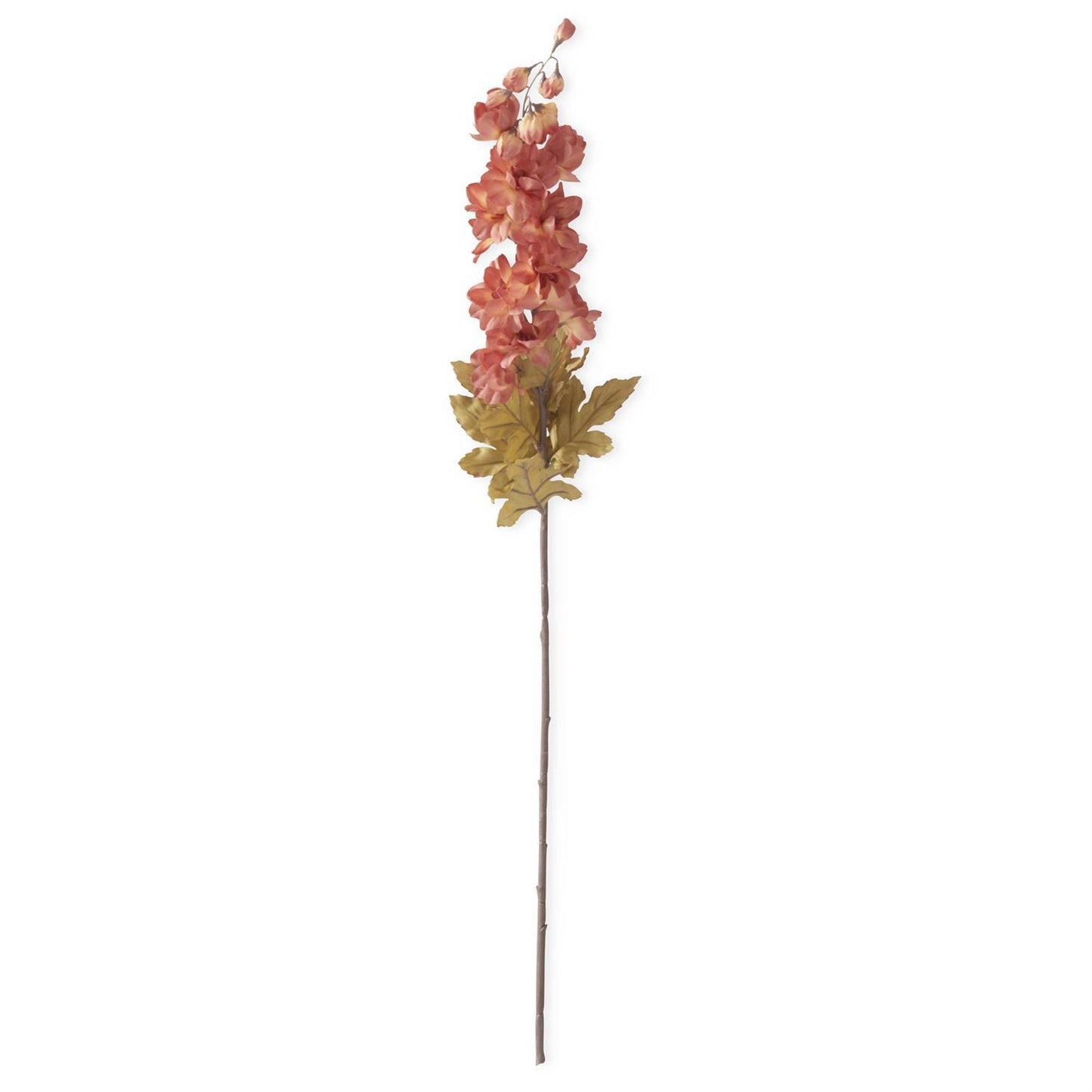 Peach Delphinium Stem
