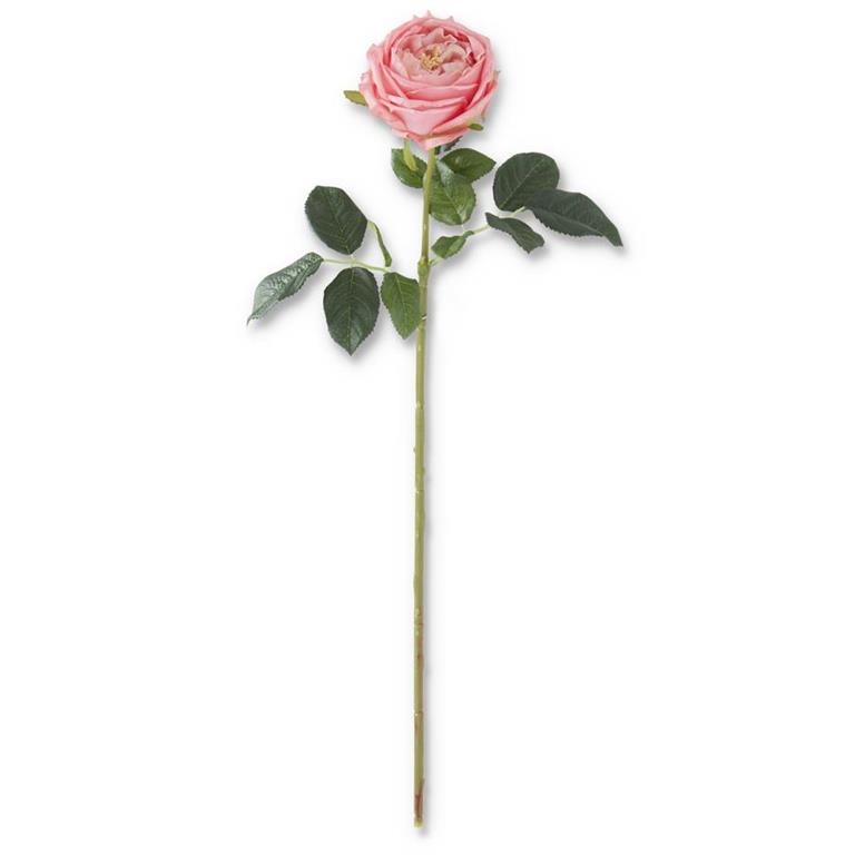 Dark Pink Real Touch Austin Rose