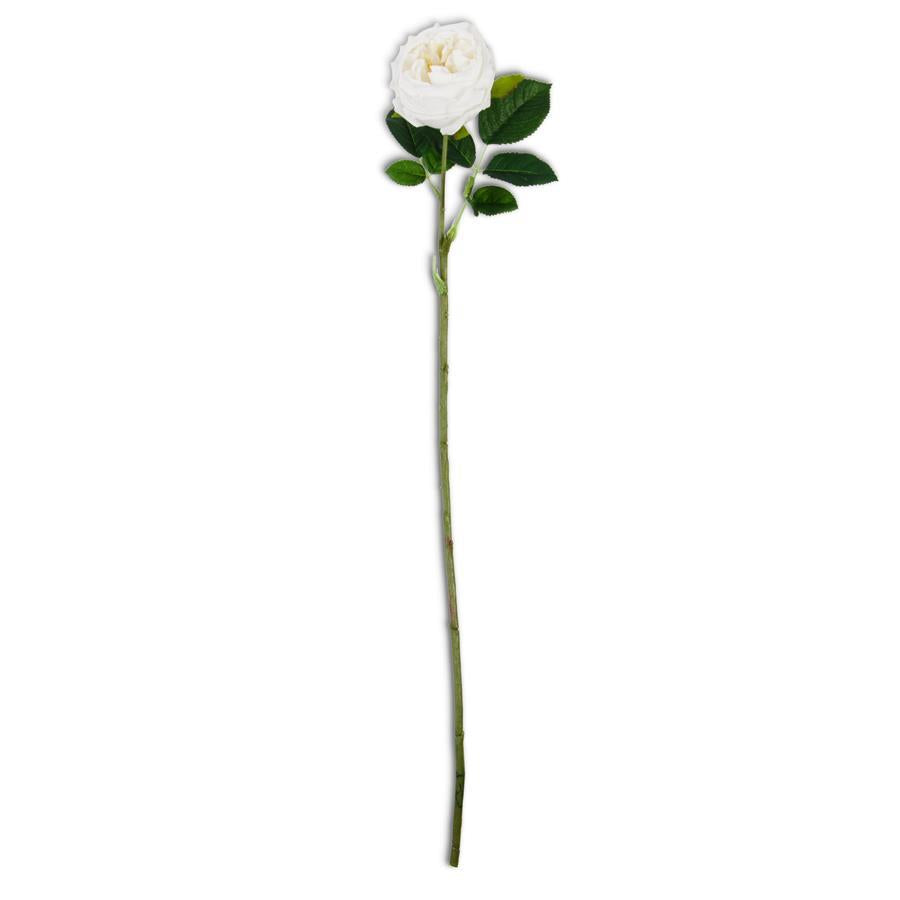 White Real Touch Austin Rose