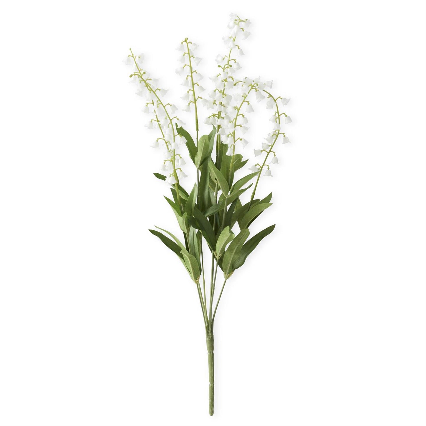 White Lily of The Valley Bush