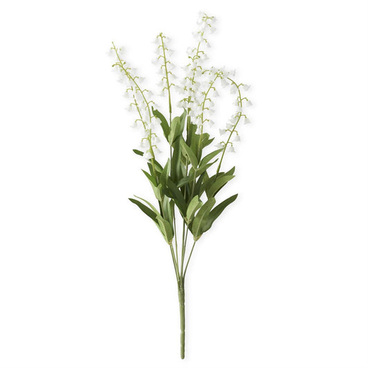 White Lily of The Valley Bush