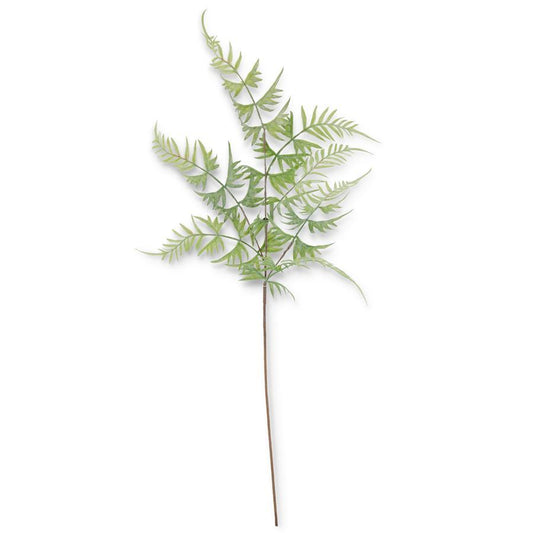 Real Touch Parsley Fern Spray