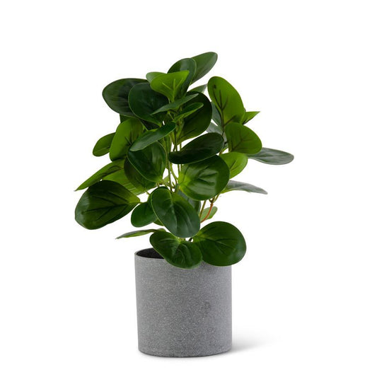 WATERCRESS FOLIAGE IN GRAY SPECKLED POT