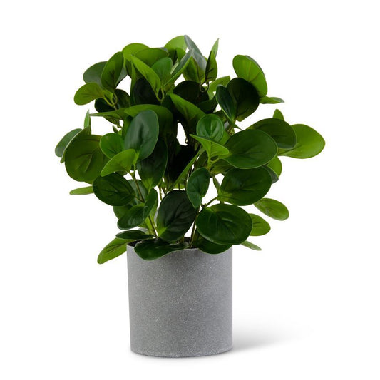 WATERCRESS FOLIAGE IN GRAY SPECKLED POT