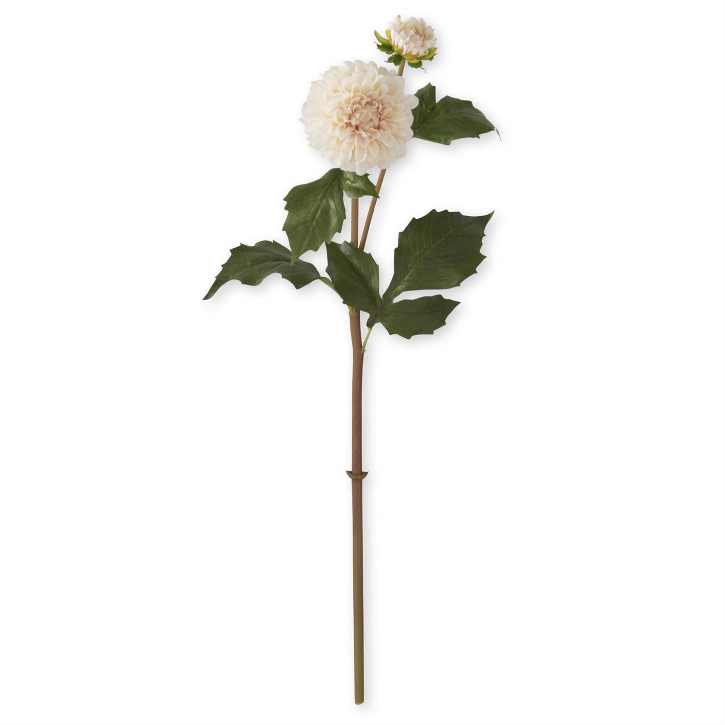 Cream Real Touch Dahlia Bud & Bloom Stem
