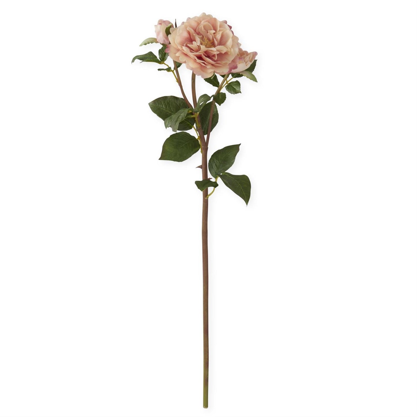 Peach Pink Real Touch Distant Drums Rose Spray