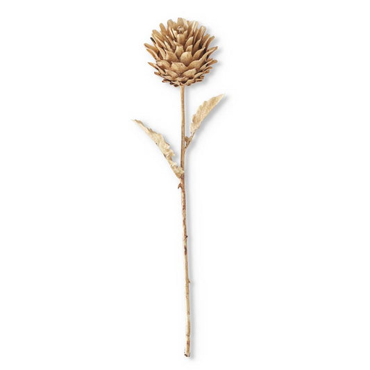 BROWN ARTICHOKE STEM