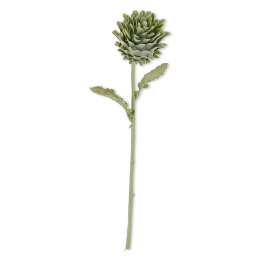 Soft Green Artichoke Stem