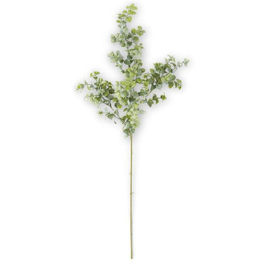 Powdered Mint Leaf Spray