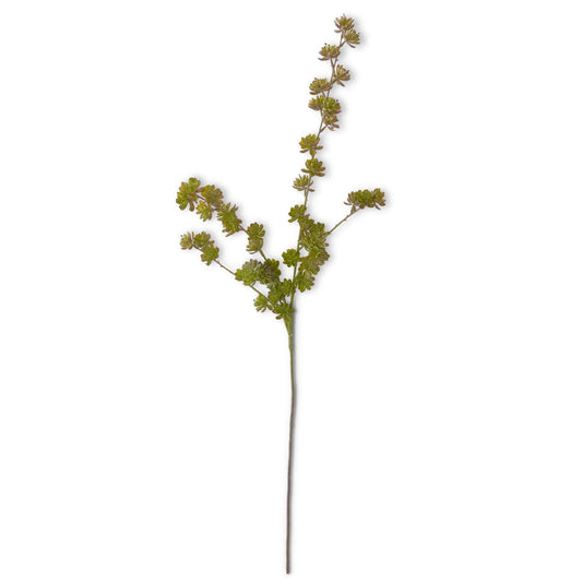 BURGUNDY SUCCULENT SPRAY