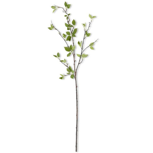 GREEN LEAF BRANCH 46"