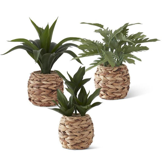 FOLIAGE IN WOVEN ROUND BASKETS