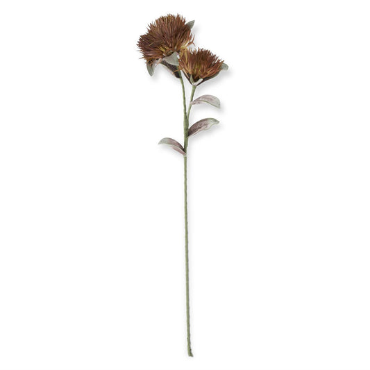GREEN & BURGUNDY EVA DOUBLE SPIKE BLOOM STEM 39"