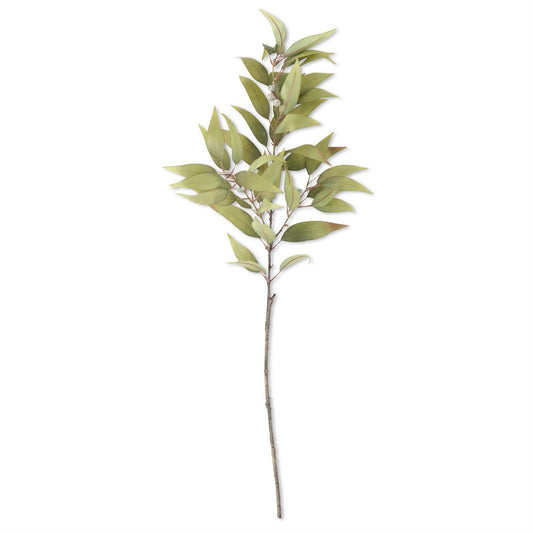 GREEN EUCALYPTUS BRANCH W/PODS