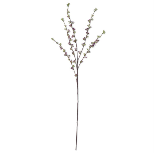 Purple Hoary Willow Spray