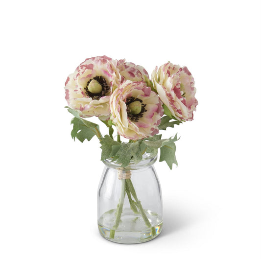 White w/Pink Ranunculus Bouquet in Glass Vase