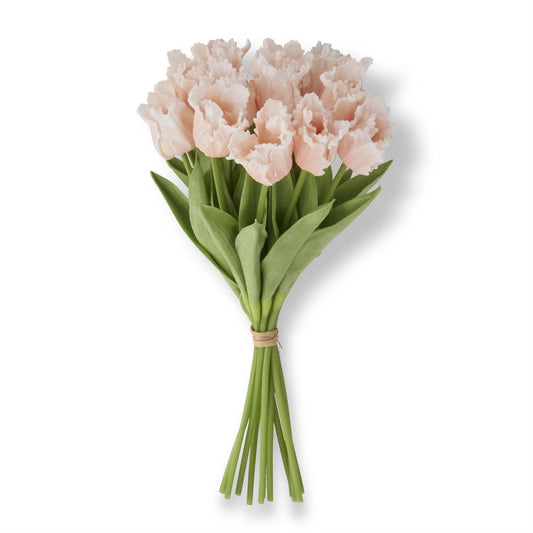 Light Peach Real Touch Parrot Tulip