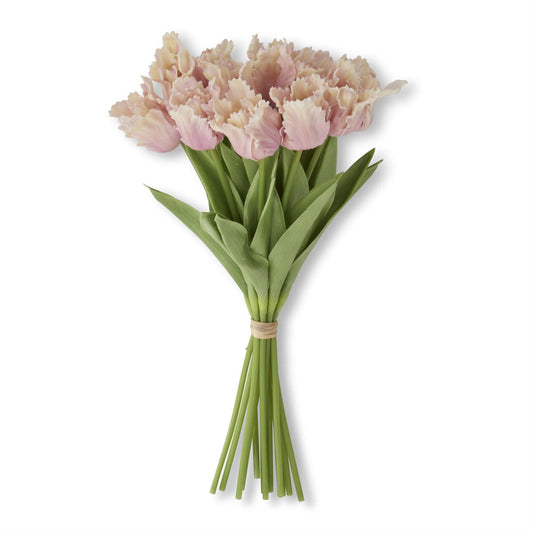 Pink & Cream Real Touch Parrot Tulip