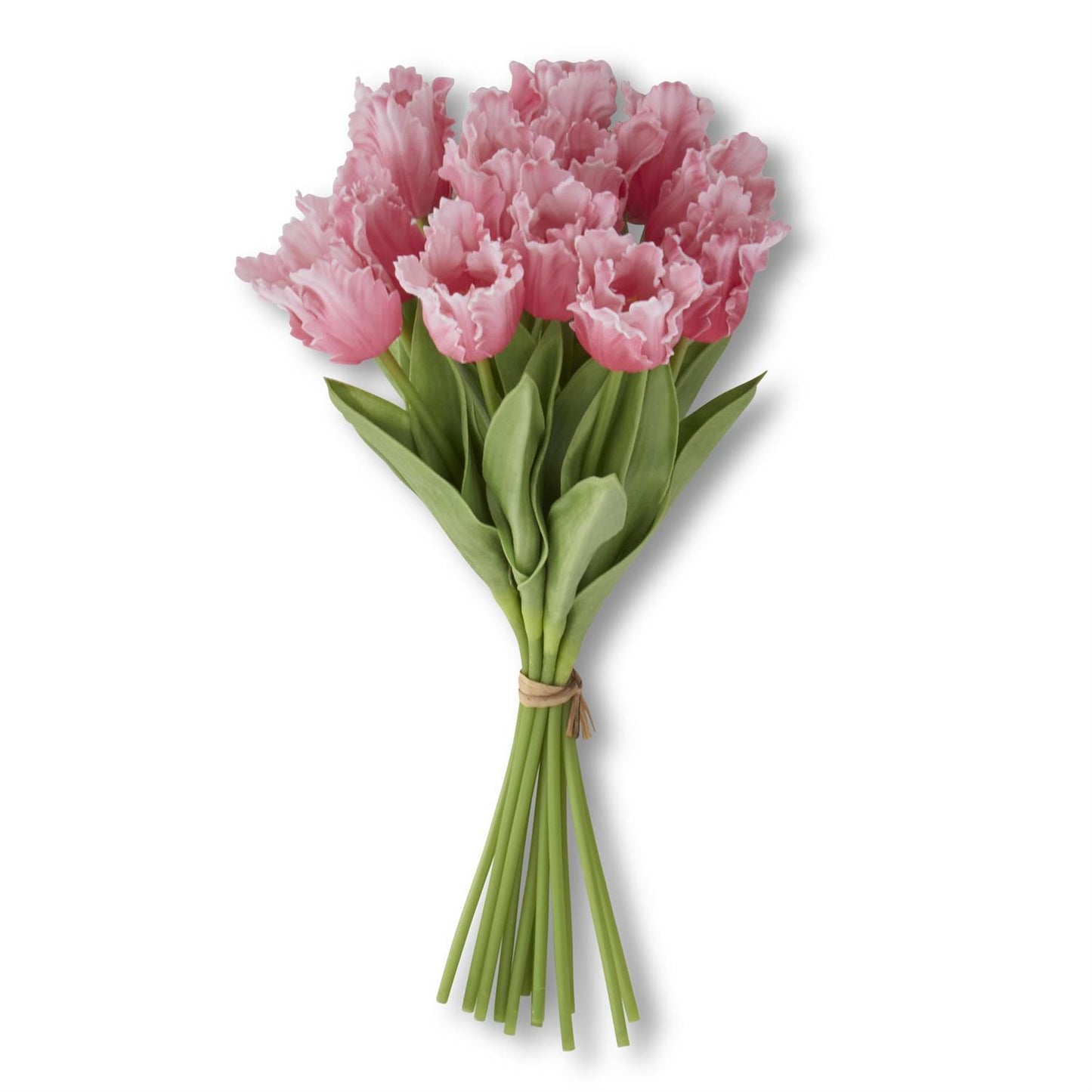 Rose Real Touch Parrot Tulip