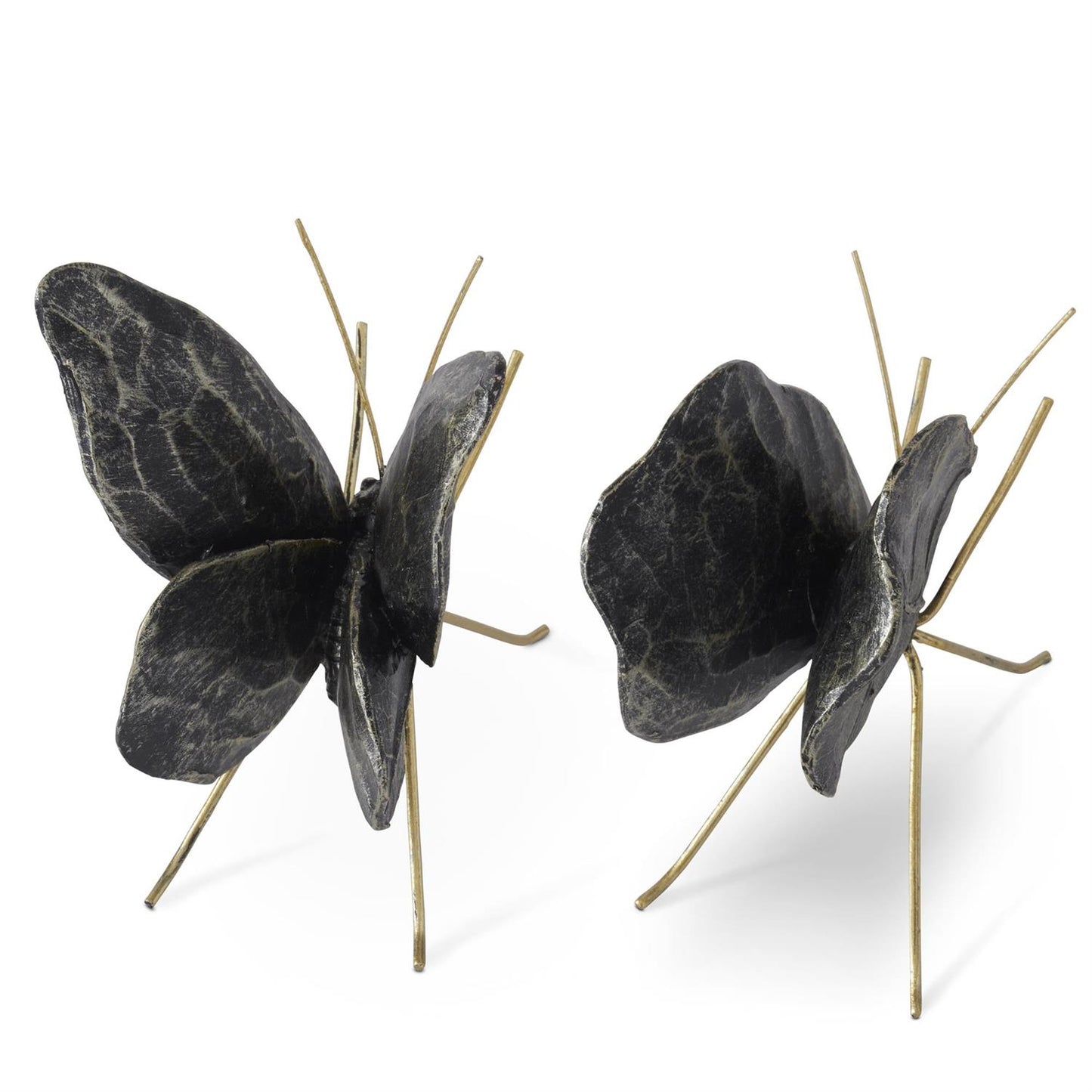 Black & Gold Leaf Wing Butterflies