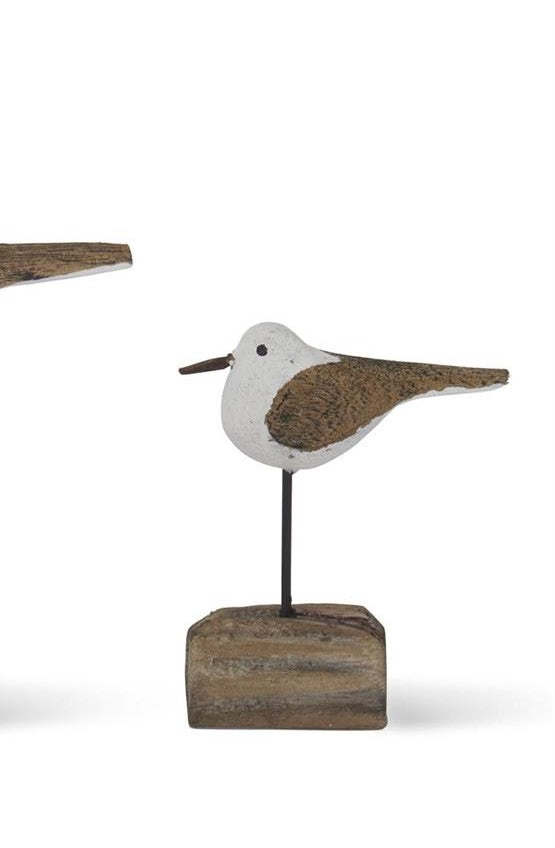 Seagulls on Driftwood