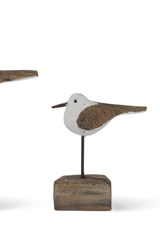 Seagulls on Driftwood