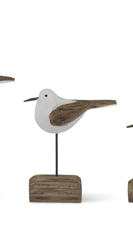 Seagulls on Driftwood
