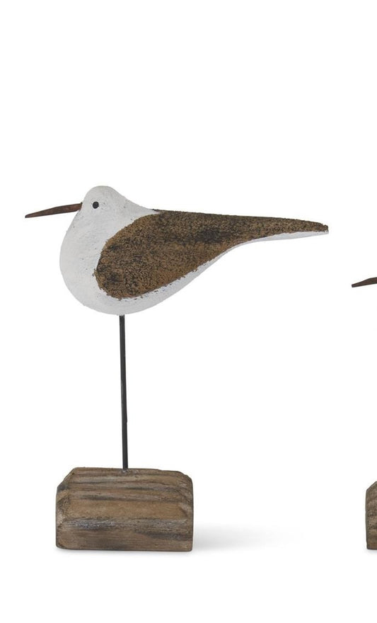 Seagulls on Driftwood