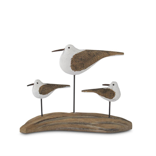 Seagulls on Driftwood